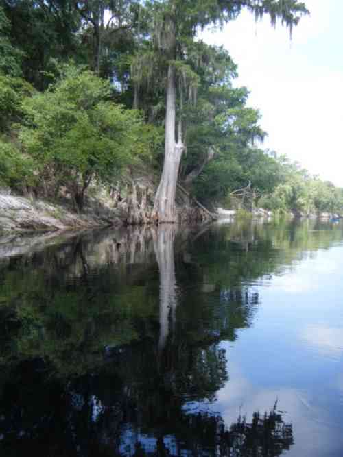 Suwannee Canoe Trip (31).jpg