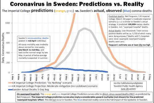 Sweden Covid death v. prediction.png