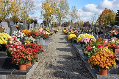 Toussaint Mums in Village Cemetery_0.jpeg