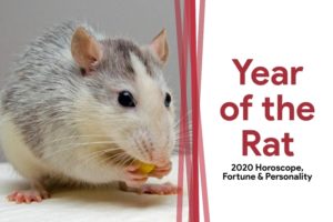 Year-of-the-Rat-1-300x200.jpg