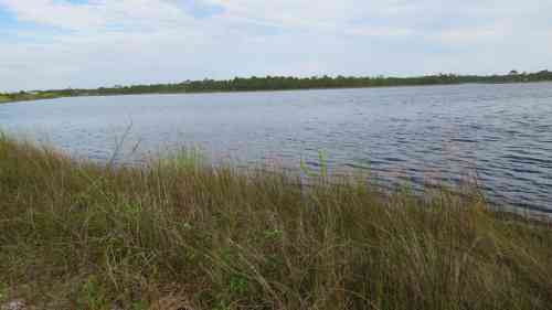 alligator lake.jpg