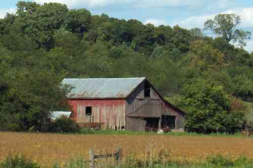 barn sept 2006.jpg