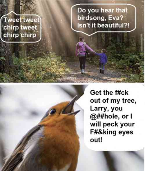 birdsong.jpg