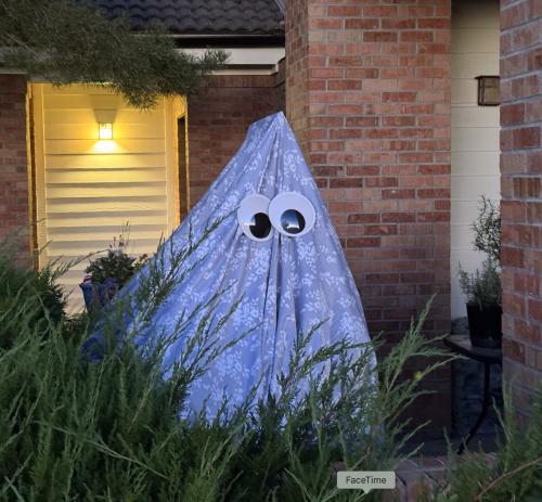 boo.jpg