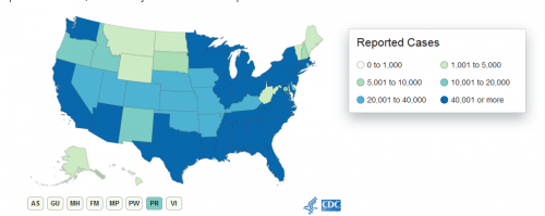 cases by state.png