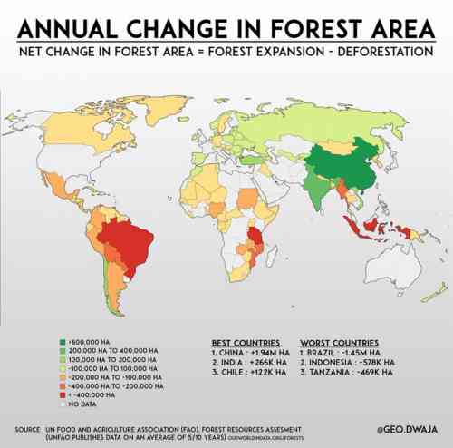 china-reforest.jpg