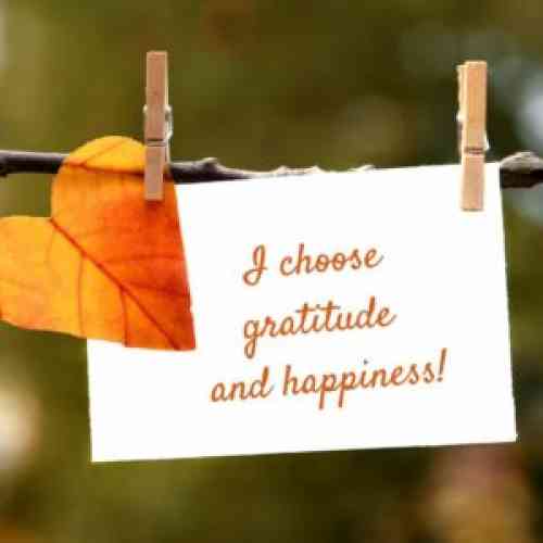 choose to be grateful_0.jpg