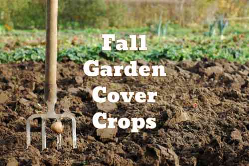 cover crops.jpg