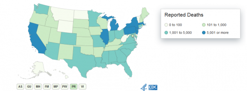 deaths by state.png