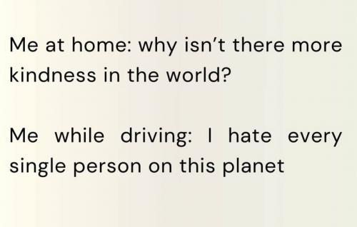 driving1.jpg