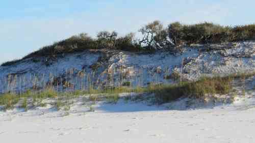 dune system.jpg