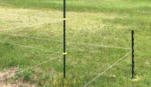 electric fence.jpg