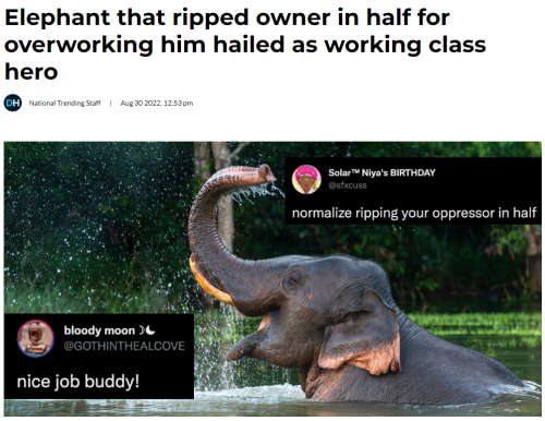 elephant2.PNG