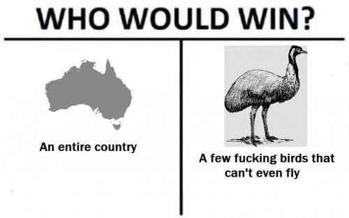 emu.jpg