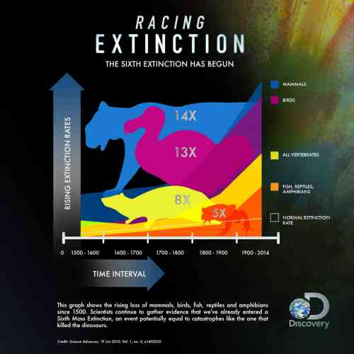 extinction graph.jpg