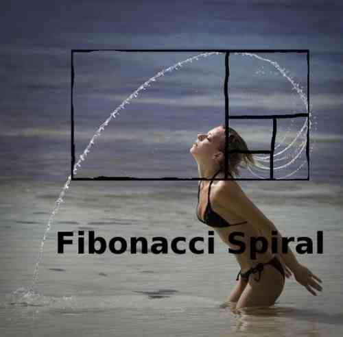 fibonacci-spiral.jpg