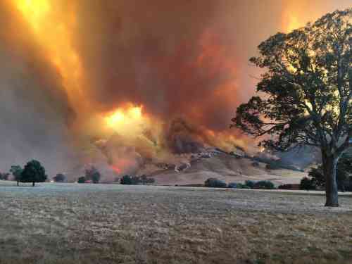 firenado_0.jpg