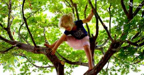 girl climbing tree.jpg