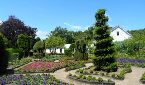 green-animals-topiary.jpg