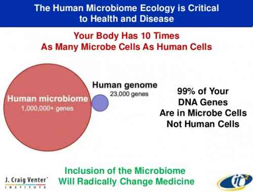 gut genome.jpg