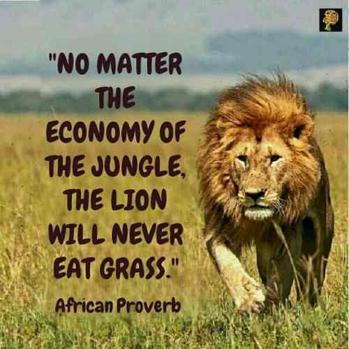 lions don't eat grass.jpg