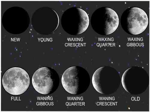 lunar cycle.jpg