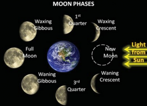 lunar cycle.png