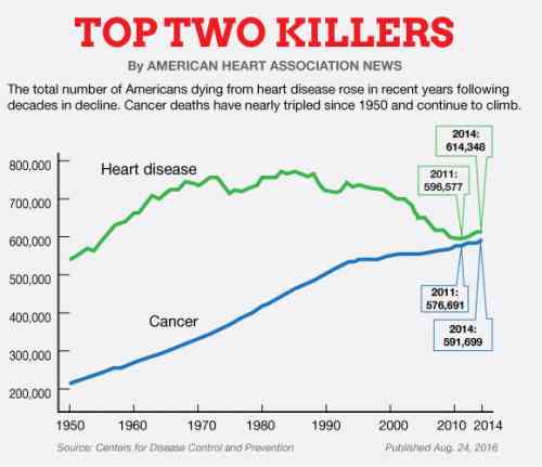 main causes of death.jpg