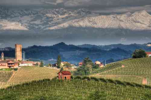 piedmont italy.jpg