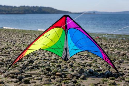 prism-kites-nexus2-lifestyle-spectrum_1800x1800_ee17c2bf-f104-4974-b974-f139ad419e10-1468745949.webp_.jpeg