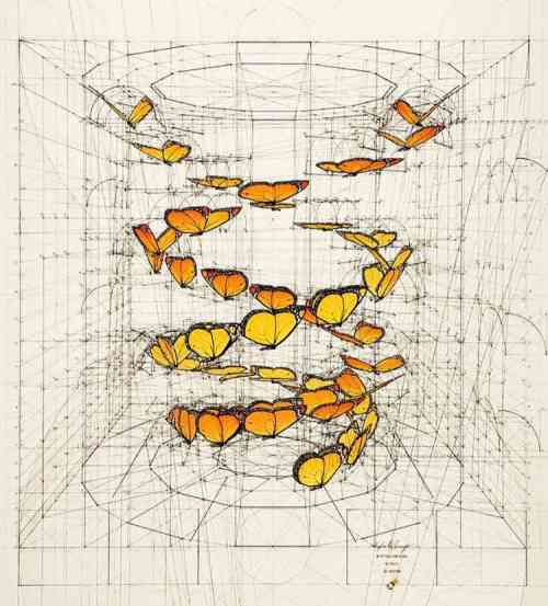 rafael-araujo-geometric-drawings-4.jpeg