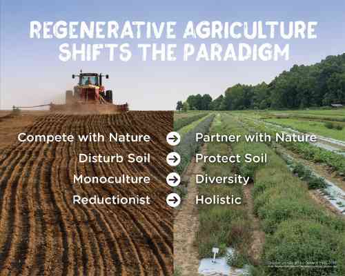 regenerative ag.jpg