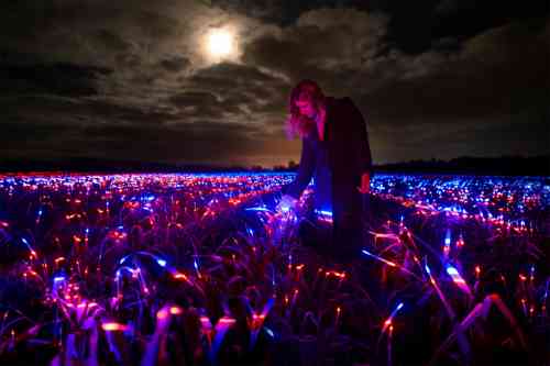 roosegaarde-2-640x426@2x.jpg