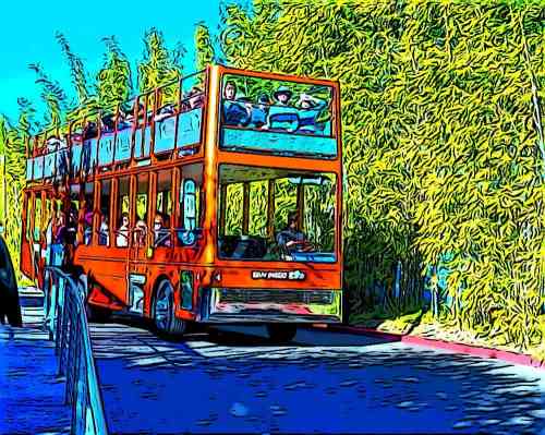 san-diego-zoo-guided-bus-tour.jpg