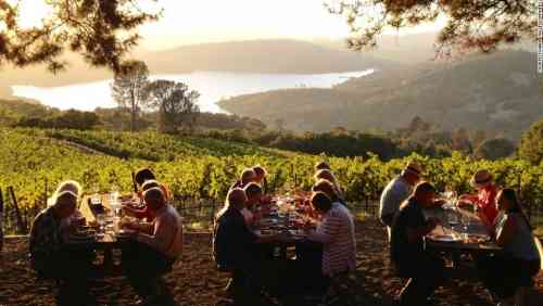 sauvignon blanc - drinking wine in napa.jpg