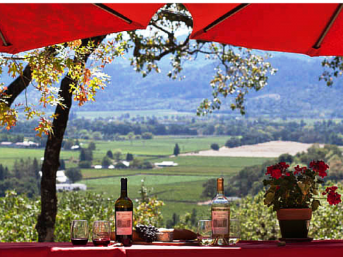 sauvignon blanc - picnic in napa.jpg