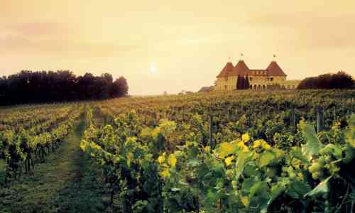 sauvignon blanc -FRANCE Loire-valley-sunset.jpg