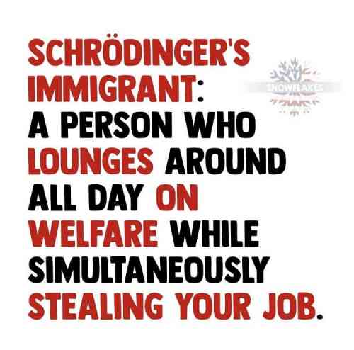 schrodingers immigrant.jpg