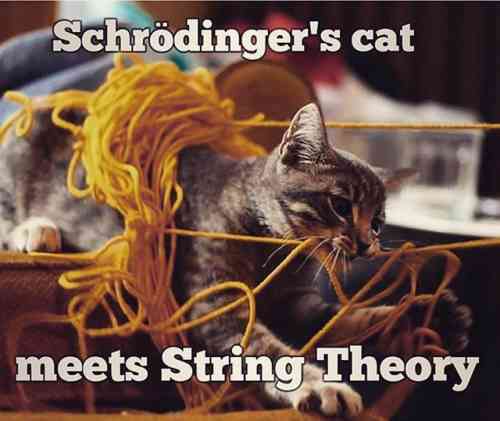 schrodingers string theory.jpg