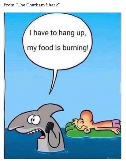 shark-food-burning.jpg