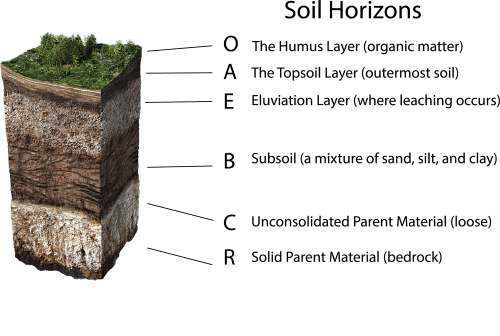 soil-horizons-soil-profile-614598957 small.png