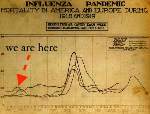 spanish_flu_death_chart.jpg