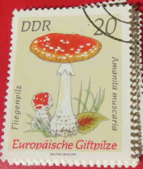 stamp-DDR-amanita-musc.jpg