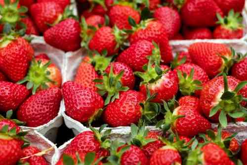 strawberries-1.jpg