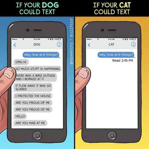 texting pets.jpg