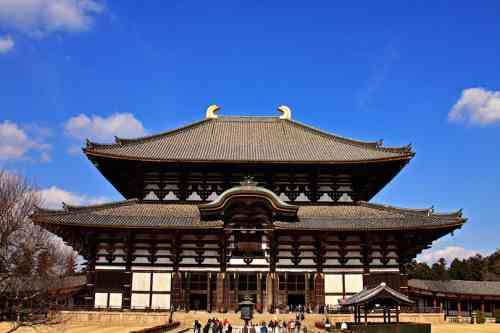 todaiji_temple.jpg