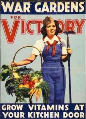 victory garden (1)_0.jpg