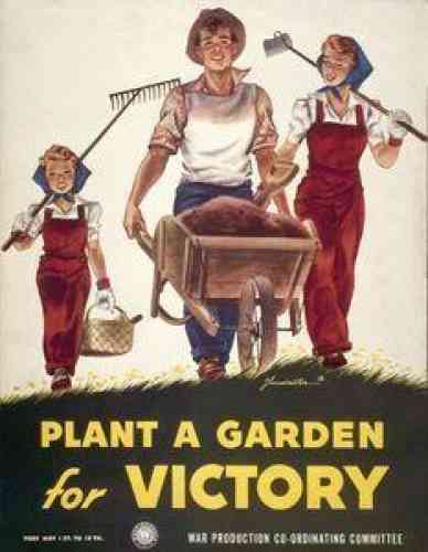 victory garden (2)_0.jpg