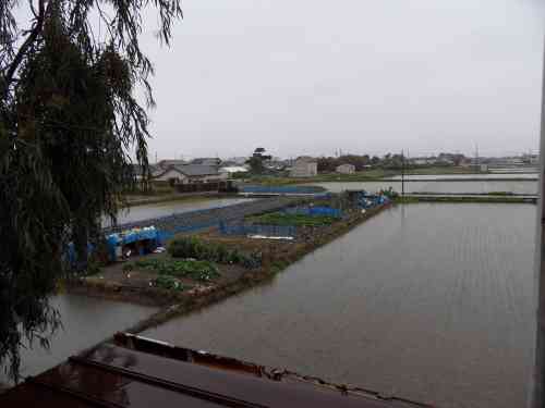 waterworld rice fields.JPG