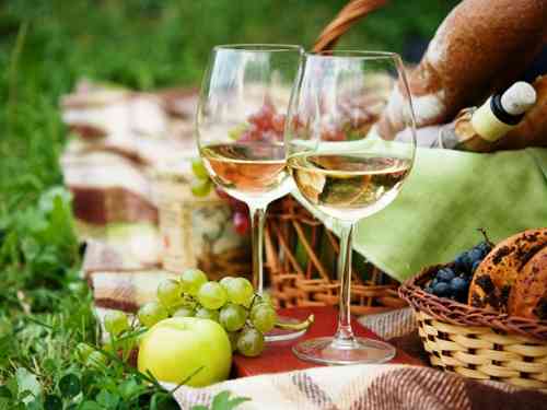 wine picnic.jpg